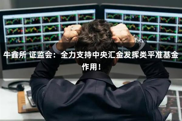 牛鑫所 证监会：全力支持中央汇金发挥类平准基金作用！