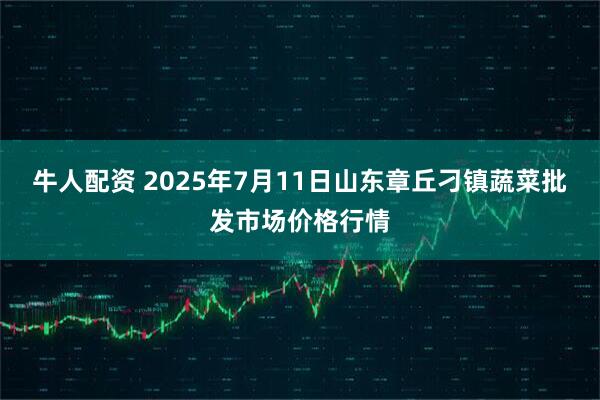 牛人配资 2025年7月11日山东章丘刁镇蔬菜批发市场价格行情