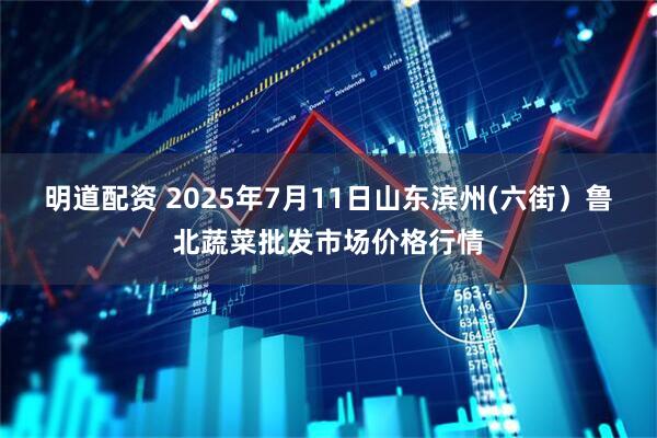 明道配资 2025年7月11日山东滨州(六街)鲁北蔬菜批发市场价格行情