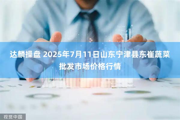 达麟操盘 2025年7月11日山东宁津县东崔蔬菜批发市场价格行情