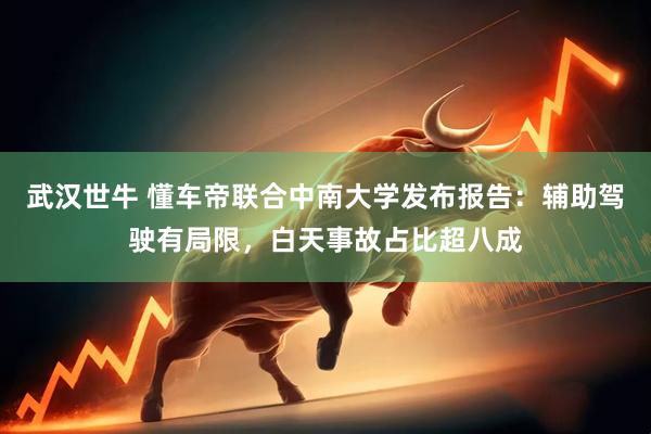 武汉世牛 懂车帝联合中南大学发布报告：辅助驾驶有局限，白天事故占比超八成