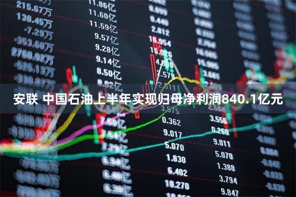 安联 中国石油上半年实现归母净利润840.1亿元